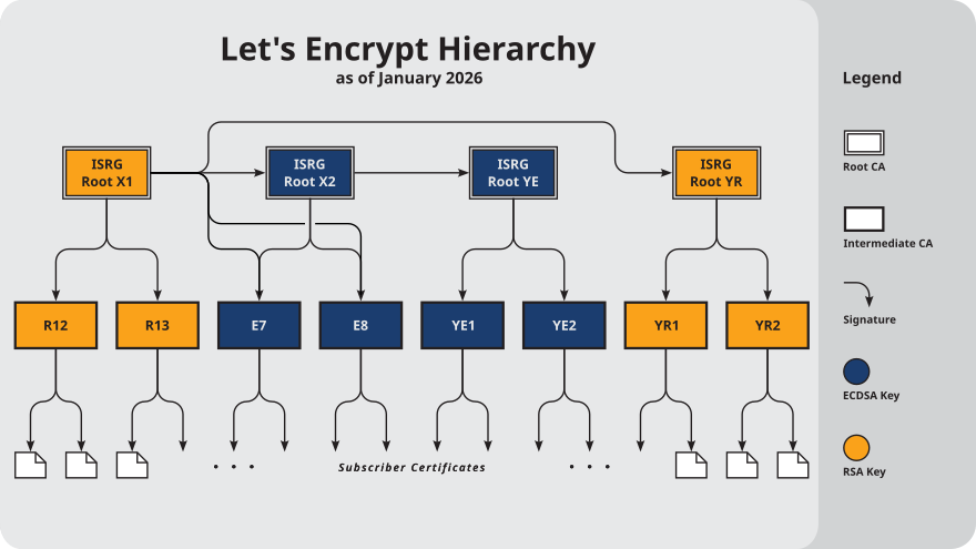 ISRG Certificate Hierarchy Diagram, as of January 2026